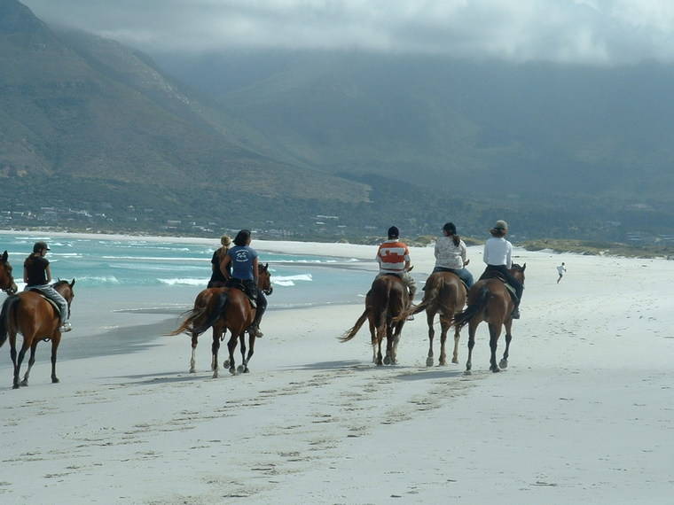 cape-town-attractions-horse-riding